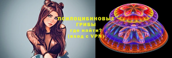 амф Алзамай