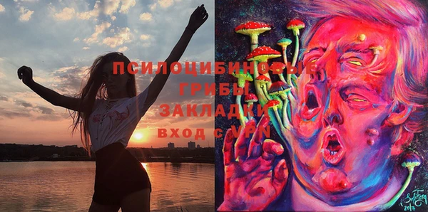 бутират Алексеевка