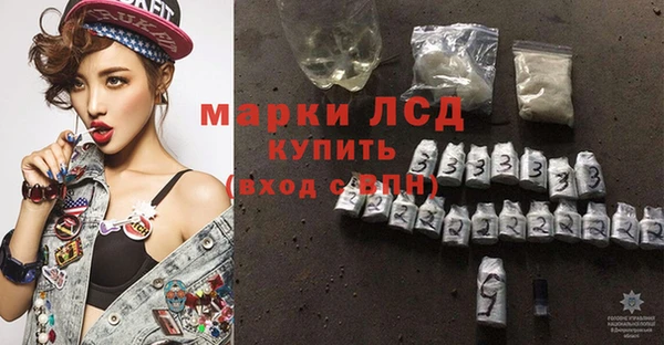 амф Алзамай